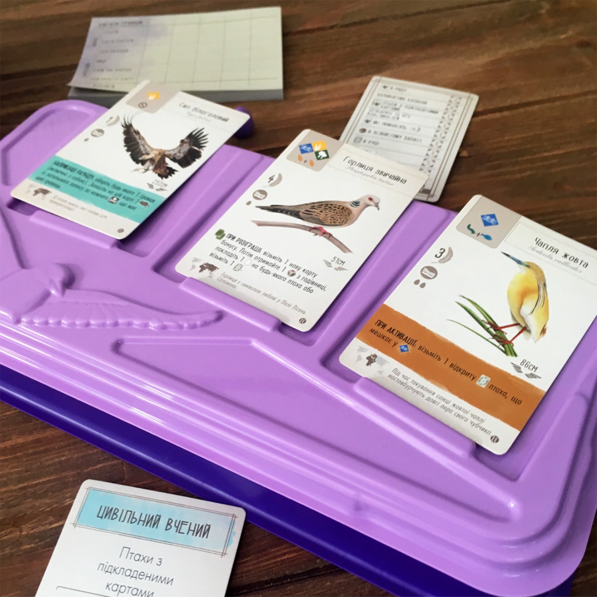 Настільна гра "Крила: Птахи Європи" - Зображення 3