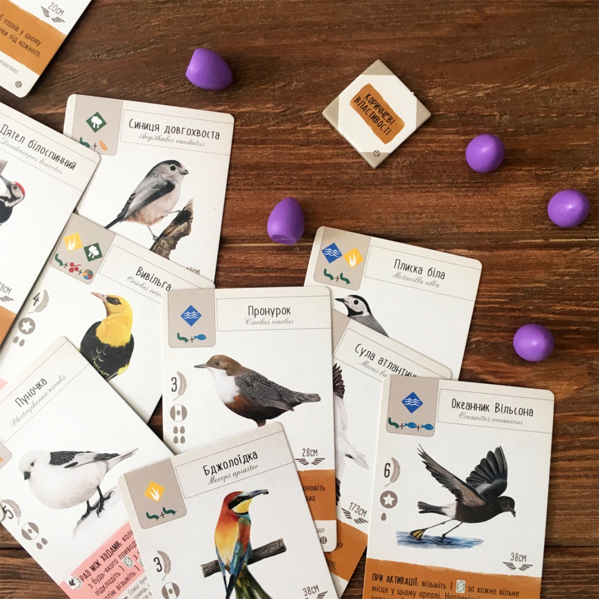 Настільна гра "Крила: Птахи Європи" - Зображення 5