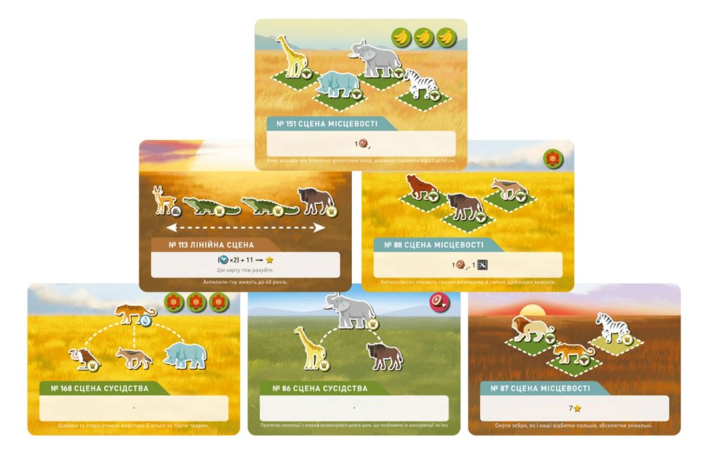 Настільна гра "Дика природа. Серенгеті" - Зображення 5