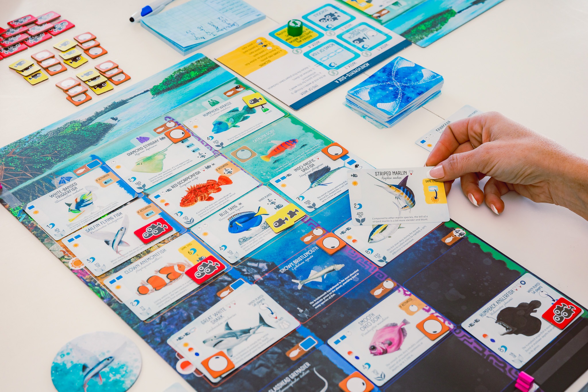 Настільна гра "Finspan" - Зображення 4