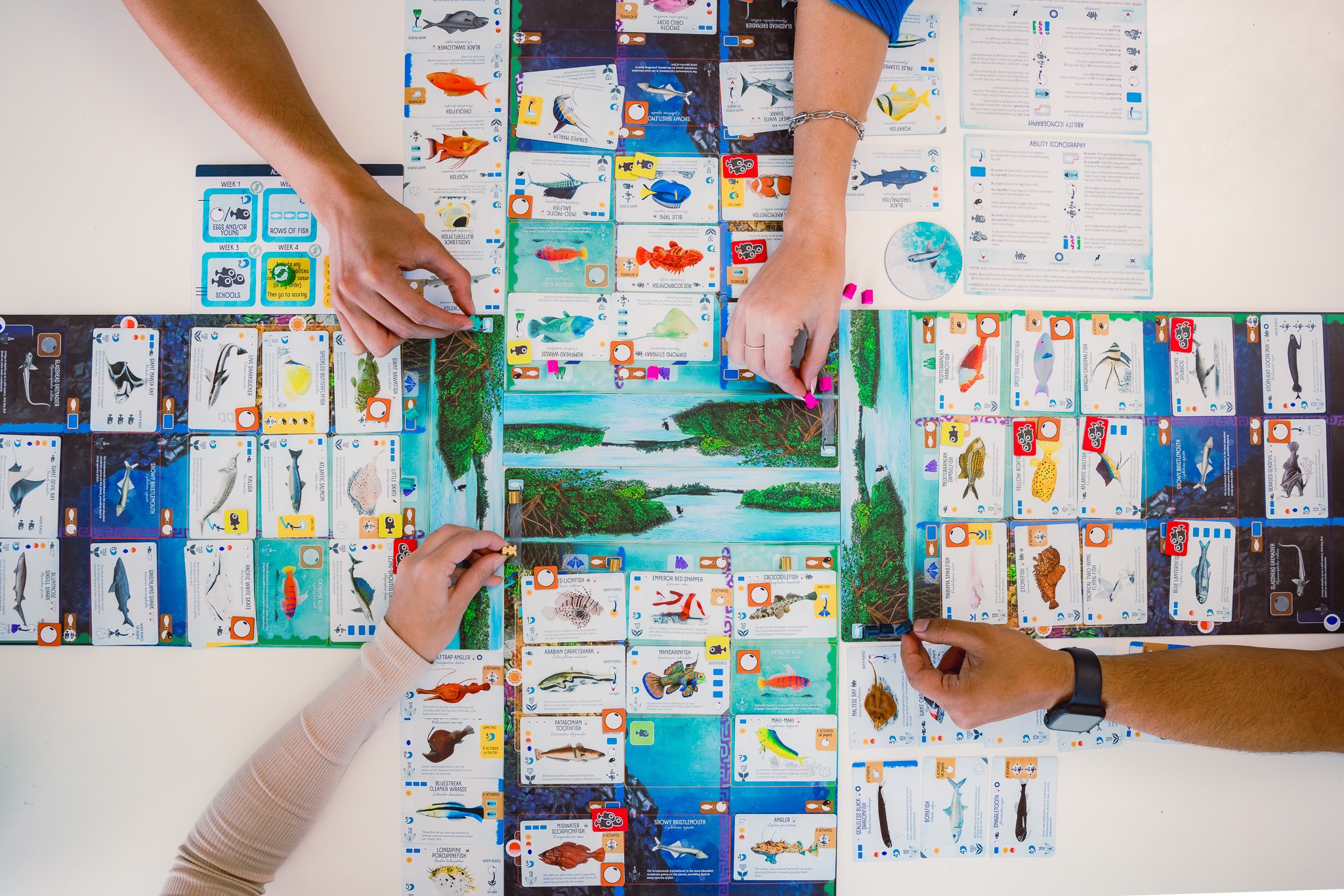 Настільна гра "Finspan" - Зображення 2