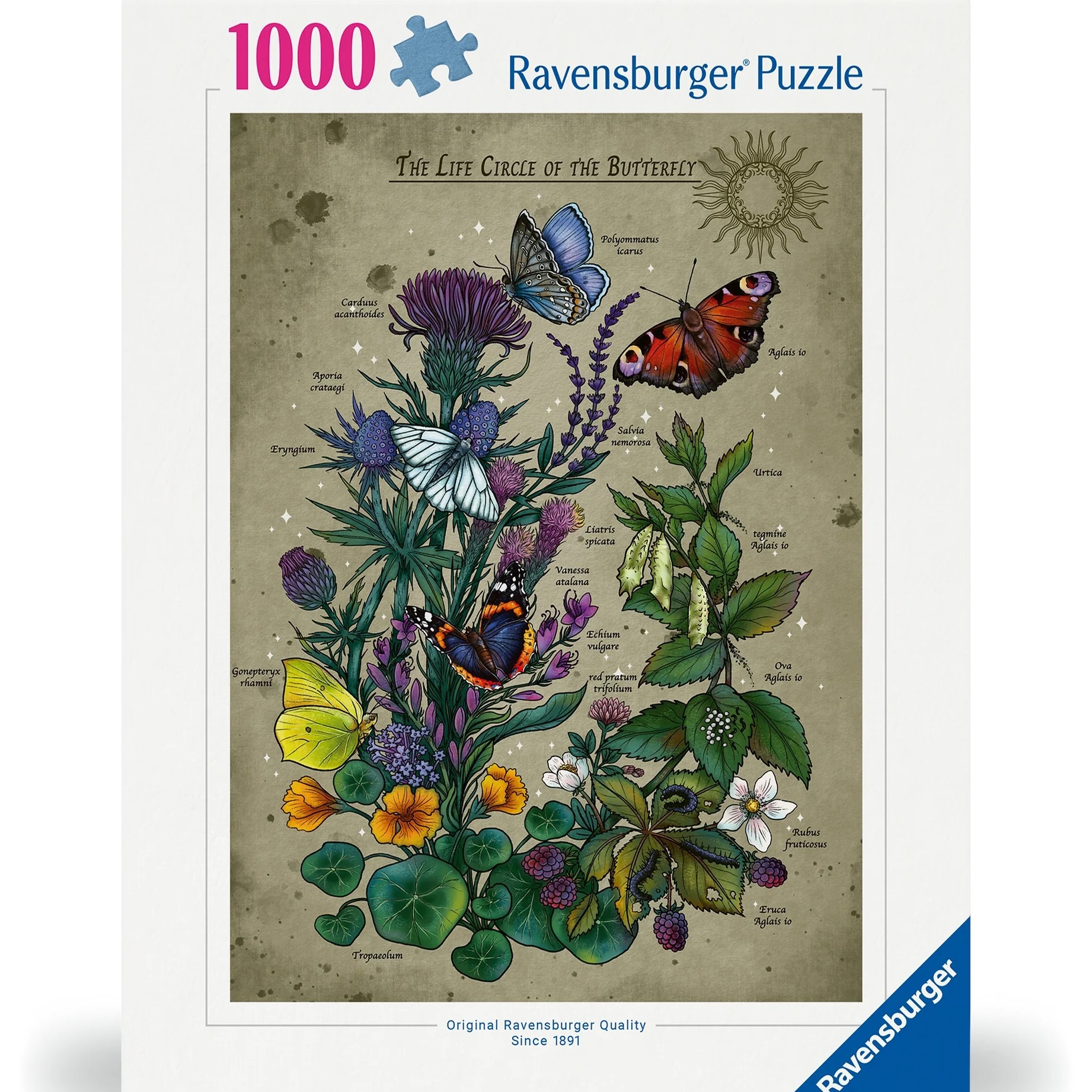 Пазл Ravensburger "Життєве коло метелика" (1000 елементів)